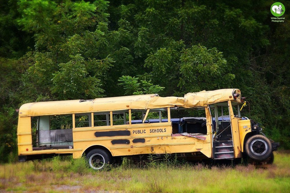 bus3.thumb.jpeg.1d632b75216e7f86c6ca4ca9bc62a13c.jpeg