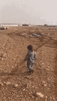 IMG_0002.gif.1c5b32c8d05bb8abe3df738667959d67.gif